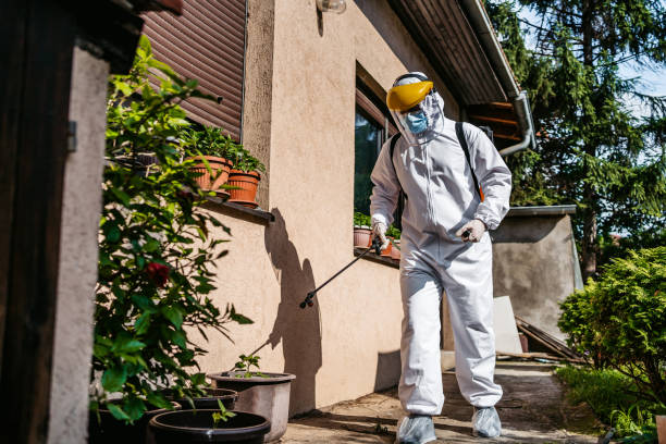 Best Termite Control Services  in Campbellsport, WI