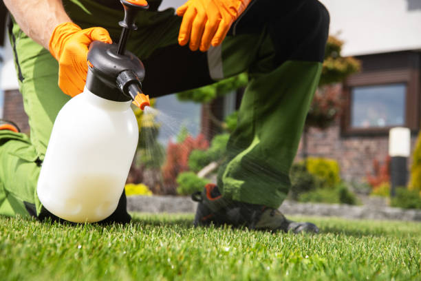 Best Pest Removal Services  in Campbellsport, WI