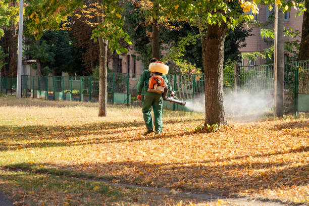 Best Best Pest Control Companies  in Campbellsport, WI