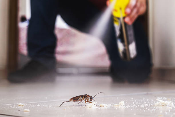 Best Commercial Pest Control Services  in Campbellsport, WI